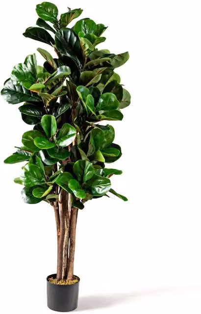 Árbol de hoja de violín artificial NORTHIO color verde para decoración de interior y exterior, Altura: 150 cm