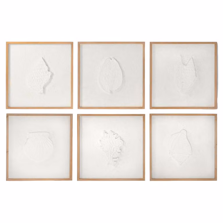 Conjunto de 6 cuadros botánicos de abeto blanco NIYLO en color blanco, An/Al: 50 x 50 cm, Profundidad: 2 cm