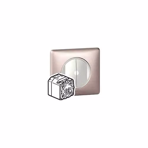 Interruptor doble transmisor receptor Legrand Céliane 2 x 1000 W