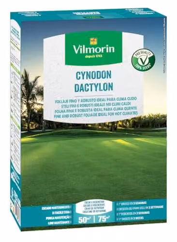Semilla de césped Vilmorin Cynodon Dactylon para jardines, 500 g