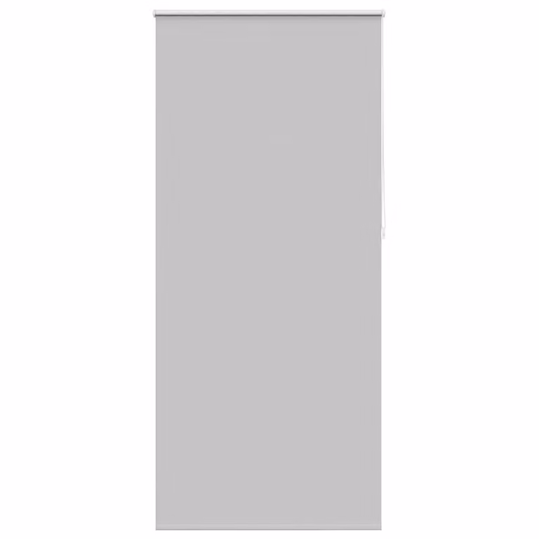 Estor enrollable opaco vidaXL en gris y plata, fabricado en poliéster con aislamiento térmico, An/Al: 104,4 x 230 cm
