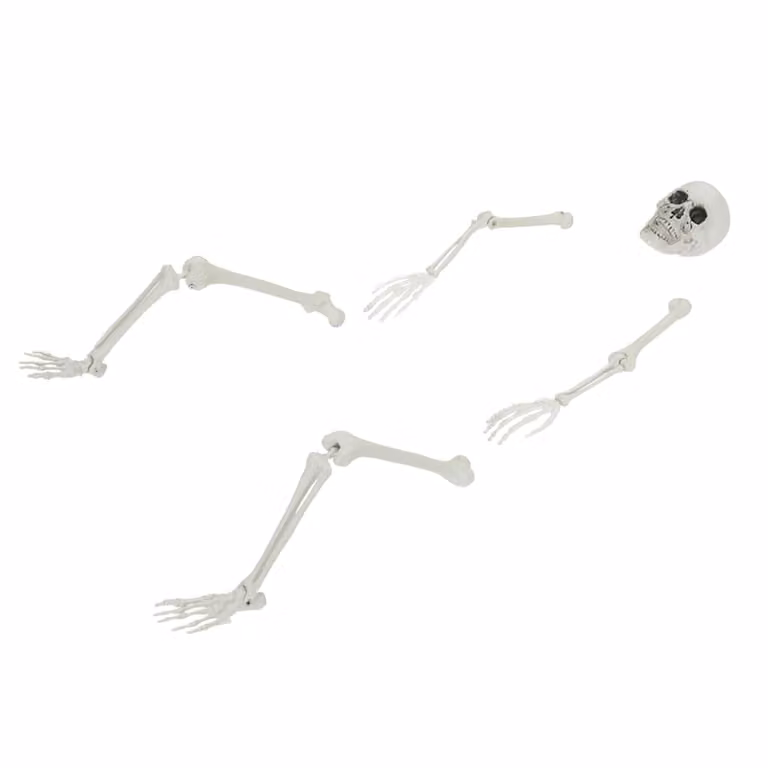 Esqueleto de Halloween vidaXL de plástico blanco con puntas de tierra de 45,5 x 13 cm