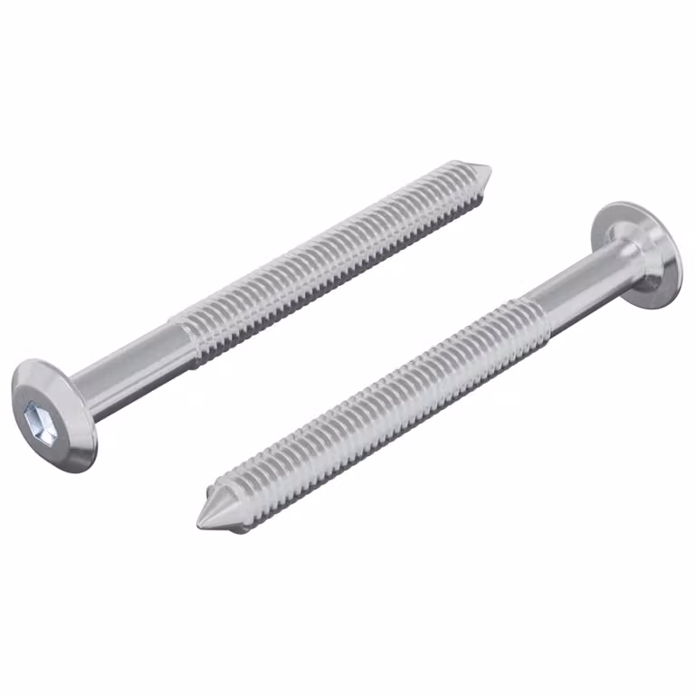 Pack de 2 tornillos de acero inoxidable vidaXL en color plateado M6 x 60 mm