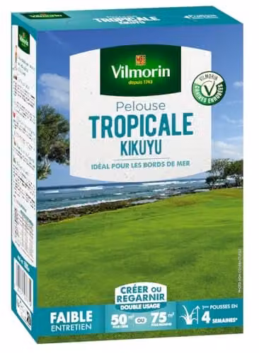 Semillas de césped tropical Kikuyu Vilmorin, 500 g