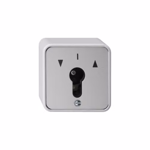 Interruptor regulador giratorio Gira 16330 en color gris de 10 A y 250 V