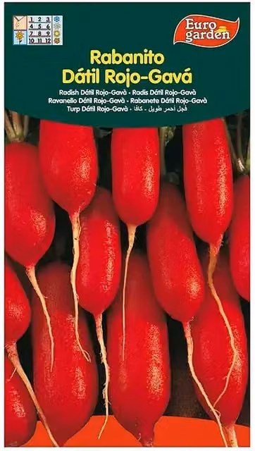 Semillas de rabanito dátil rojo Euro Garden para huerto de vegetales
