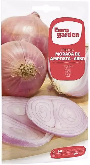 Bulbos de cebolla morada Amposta Euro Garden, 5 g