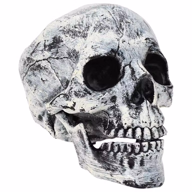 Set de 2 calaveras de Halloween SPOOKA vidaXL en color blanco, An/P/Al: 12 x 15 x 17.5 cm