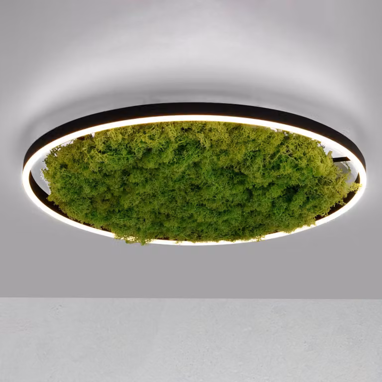 Lámpara de techo LED Green Ritus de JUST LIGHT. GmbH, modelo atenuable en color verde y negro para salón o comedor