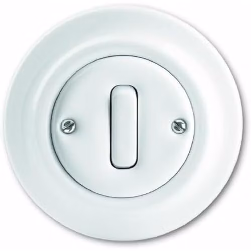Interruptor eléctrico Busch-Jaeger de montaje empotrado en plástico color blanco