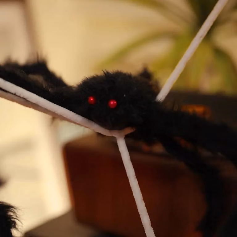 Set de 2 decoraciones de araña con telarañas colgantes vidaXL para Halloween en color negro y blanco
