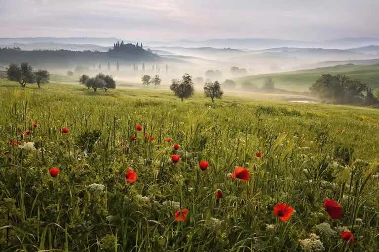 Cuadro de paisaje de naturaleza primavera toscana de Hexoa, impresión sobre lienzo multicolor, An: 90 cm, Al: 60 cm