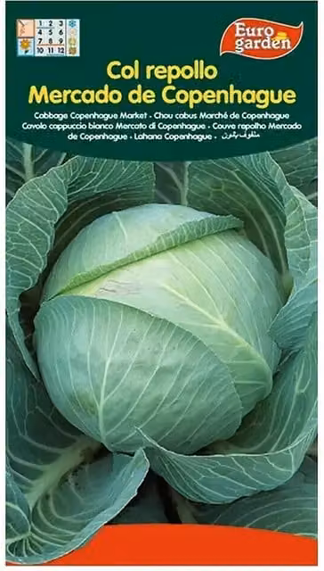 Semillas de repollo de mercado de Copenhague Euro Garden variedad verde