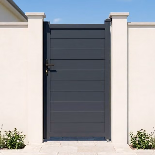 Puerta peatonal exterior de aluminio Casanoov Eiger color gris antracita An: 100 cm, Al: 176 cm
