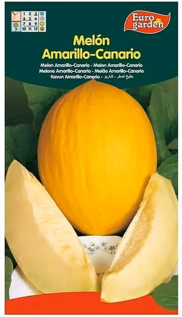 Semillas de melón amarillo canario Euro Garden para tu huerto de vegetales