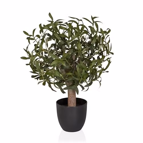 Planta de olivo artificial hjh OFFICE de 70 cm, color verde, diseño realista de estilo mediterráneo para mesa