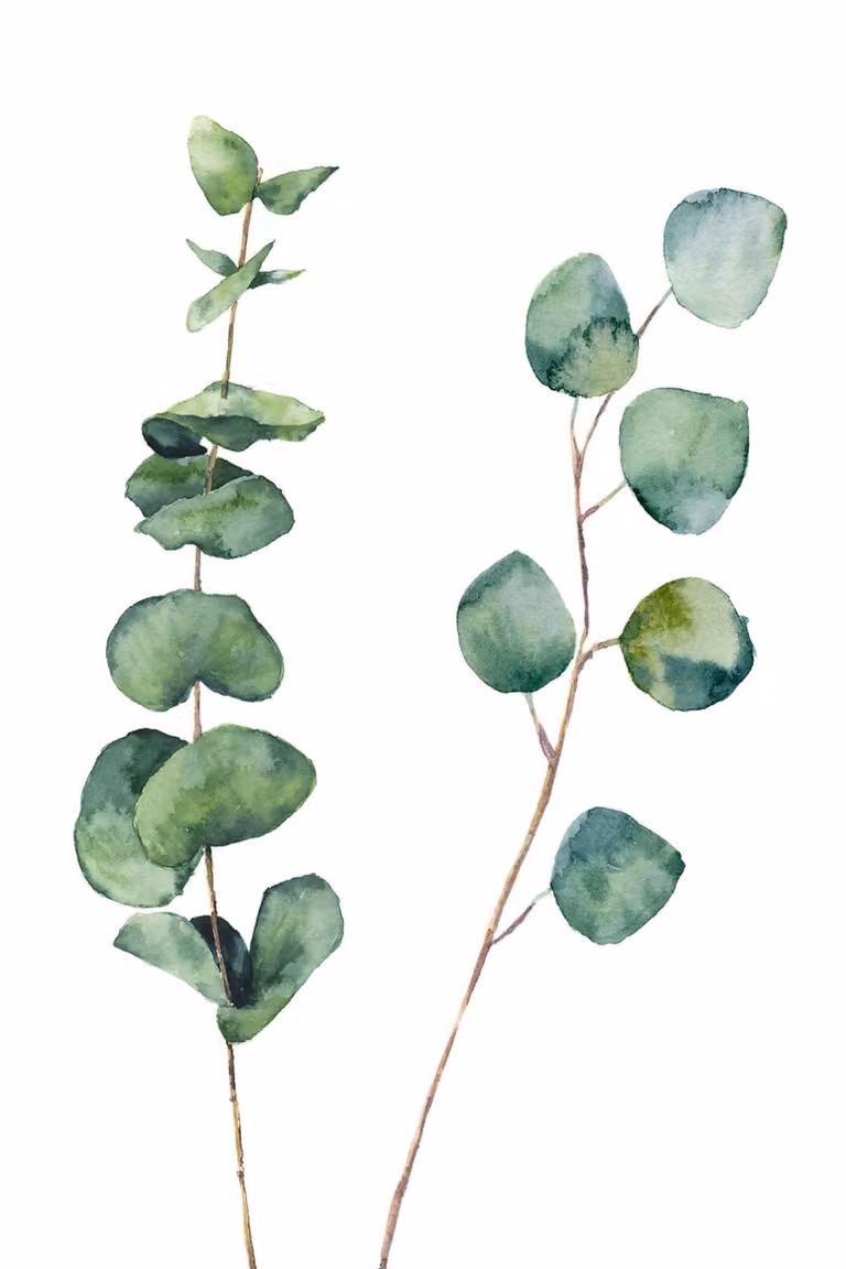 Cuadro de naturaleza de eucalipto Made in Meubles, impresión botánica sobre lienzo verde, An: 60 cm, Al: 90 cm