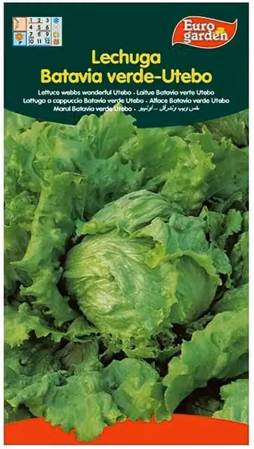 Semillas de lechuga Batavia Euro Garden, 5 g