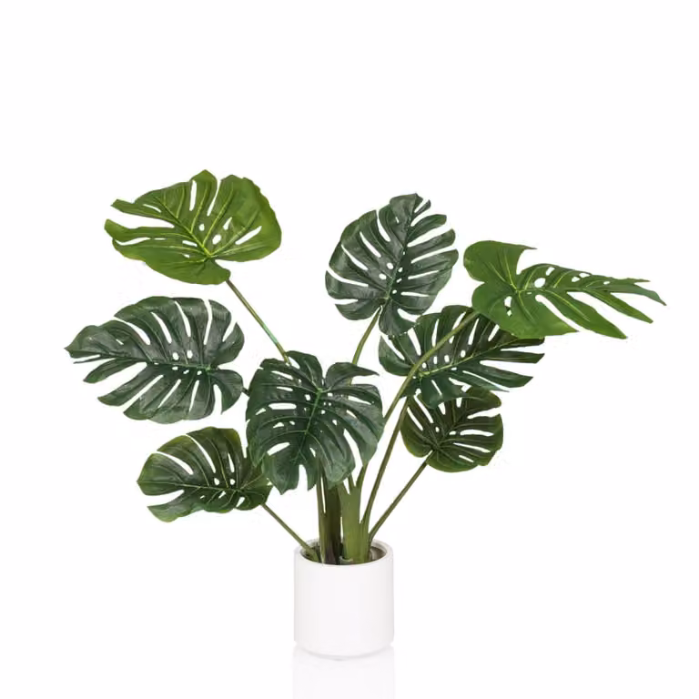 Planta artificial Monstera con macetero redondo de hjh OFFICE en color verde y blanco, Altura: 90 cm