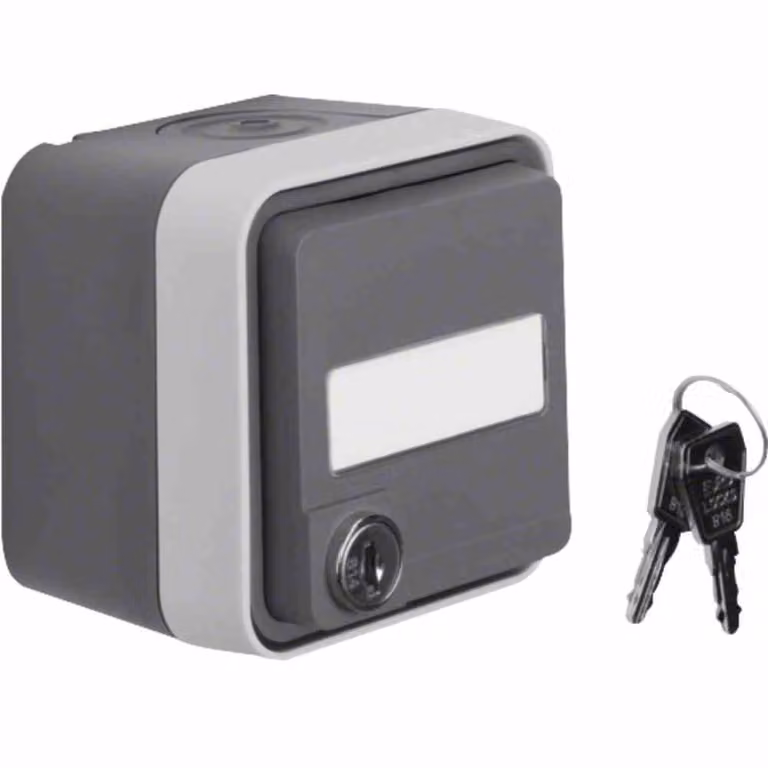 Enchufe Berker W.1 tipo Schuko con tapa abatible IP55 color gris claro