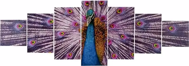 Set de 7 cuadros de lienzo HHG con diseño de pavo real multicolor, arte moderno para pared, An/P/Al: 140 x 50 cm