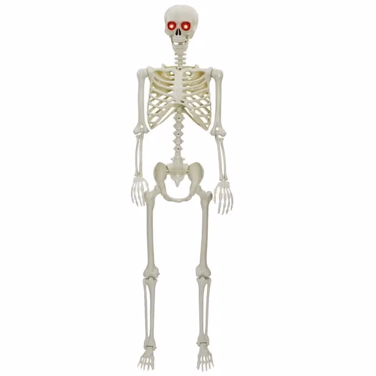 Esqueleto de Halloween vidaXL de color blanco fabricado en plástico para adultos con dimensiones de 155 x 38,5 cm