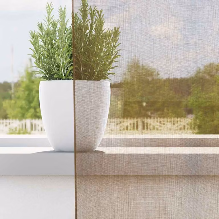 Set de 2 cortinas de gasa semi transparente con ojales vidaXL en color marrón claro