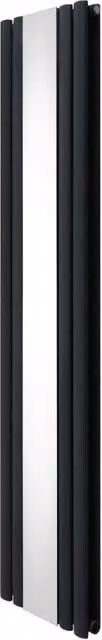Radiador de columna ovalada con espejo MONSTERSHOP en acero color gris antracita, Al: 180 cm, An: 38 cm